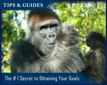 The #1 Secret to Obtaining Your Goals